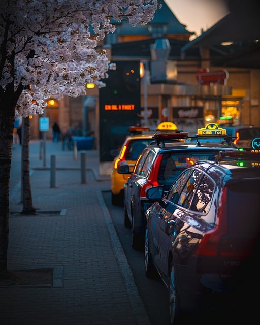 taxi zierikzee